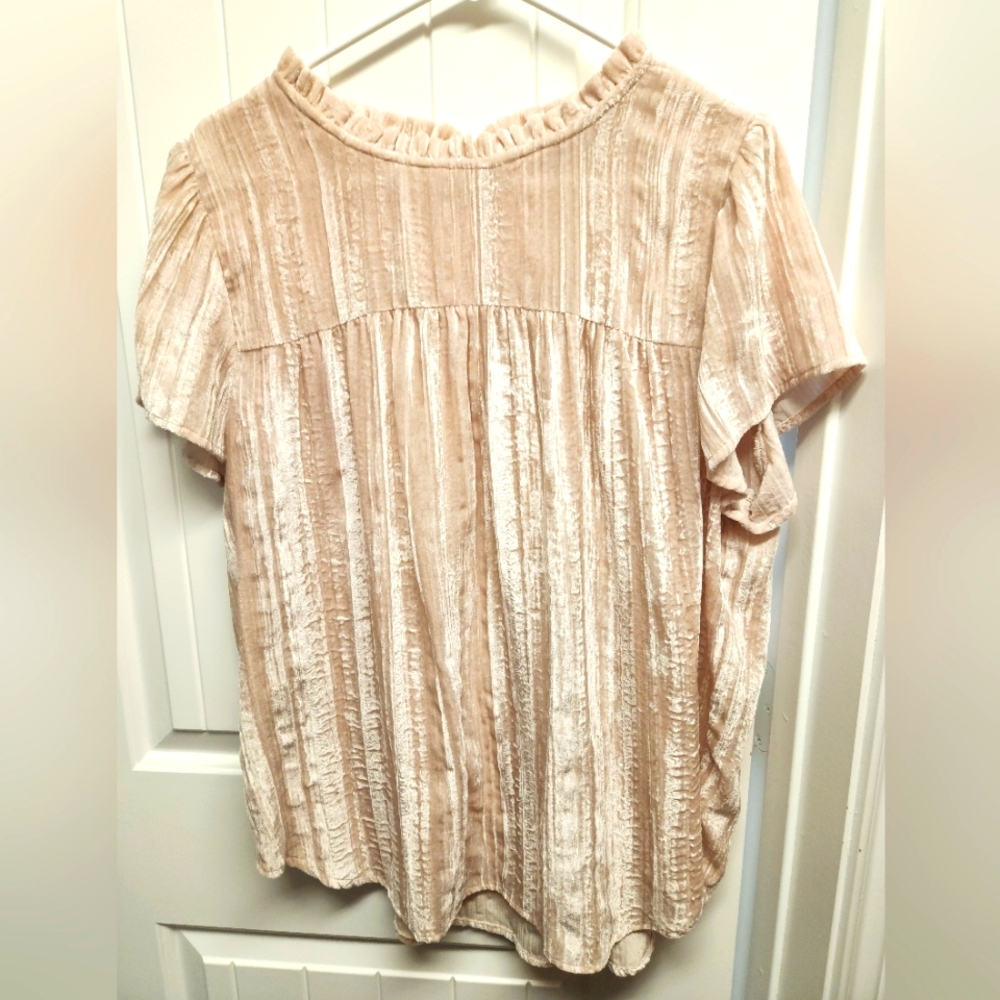 Loft crushed velvet light blush blouse